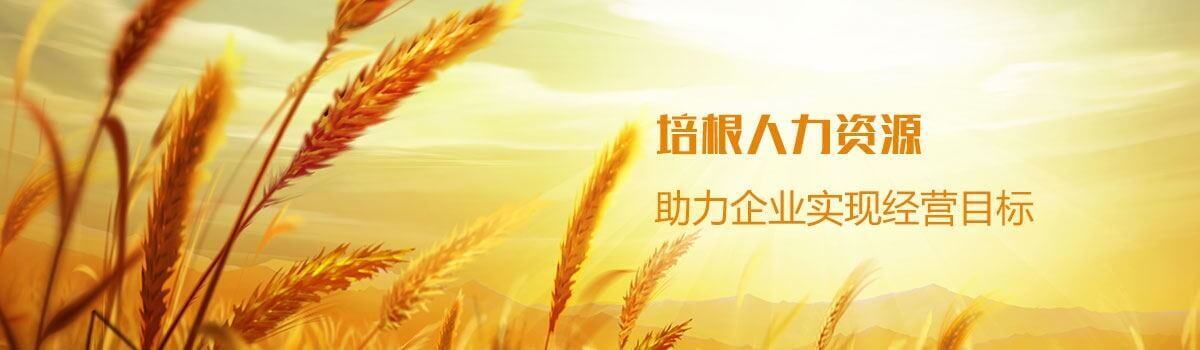 歡迎瀏覽山東培根企業(yè)管理集團(tuán)有限公司官網(wǎng)人事代理,社保戶口代理,人事外包,畢業(yè)生網(wǎng)簽落戶,代繳社保公積金,代發(fā)工資,勞務(wù)派遣,檔案托管